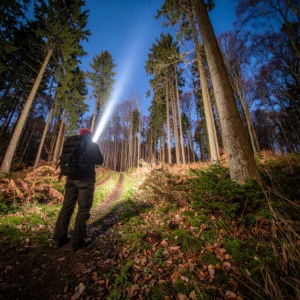 Best tactical flashlight lumen test image in the night forest.