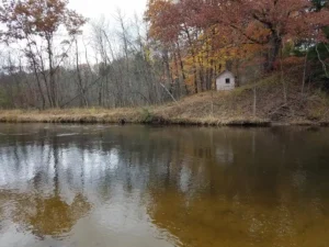 The Pere Marquette River near Custer, MI best steelhead rods testing image.